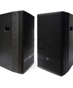 Loa AAP audio AKP12